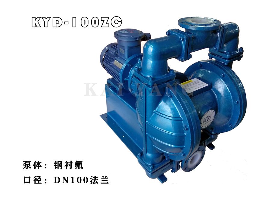 鋼襯氟電動(dòng)隔膜泵視頻介紹